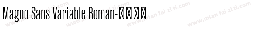 Magno Sans Variable Roman字体转换